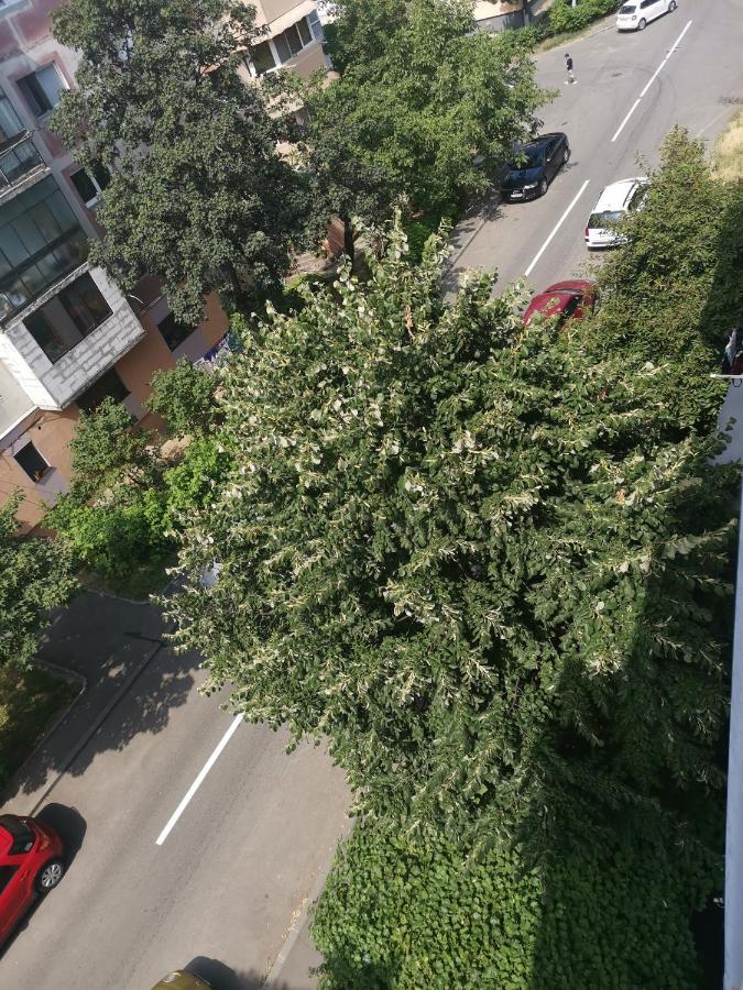 Bloom Box Apartments Крайова Экстерьер фото