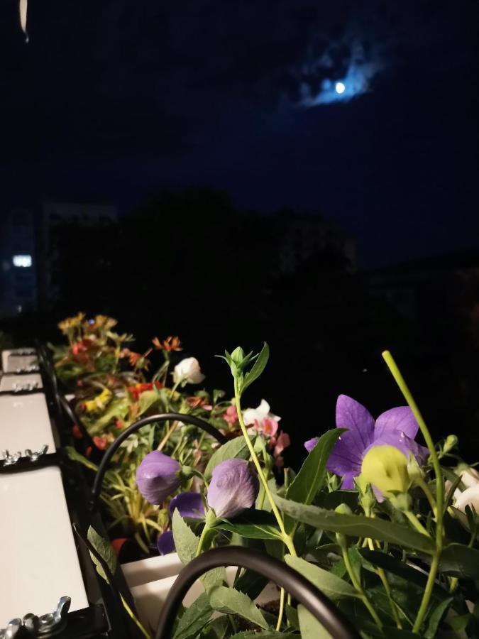 Bloom Box Apartments Крайова Экстерьер фото