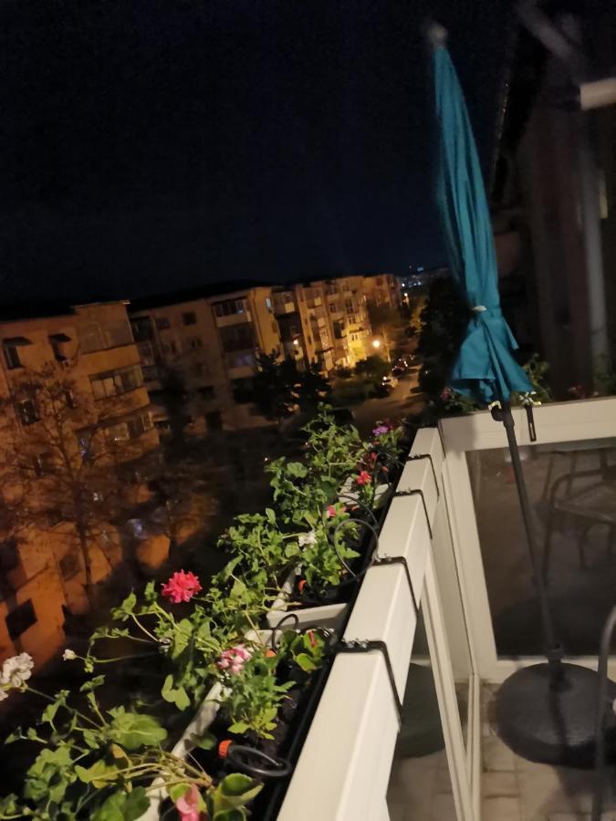 Bloom Box Apartments Крайова Экстерьер фото